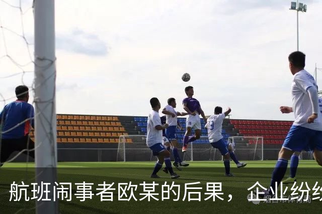 航班闹事者欧某的后果，企业纷纷与其切割关系