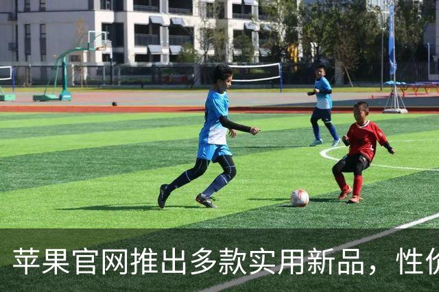 苹果官网推出多款实用新品，性价比出众